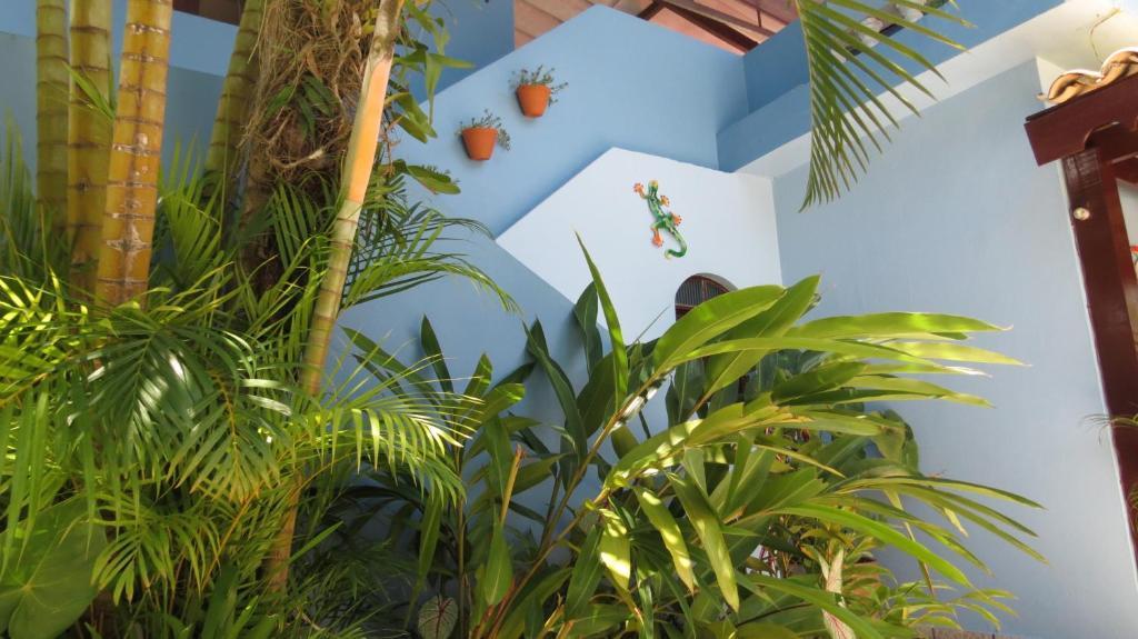 Pousada Raios De Luar Boicucanga Exterior photo